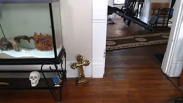 Chat XXX en directo de EspanolVato