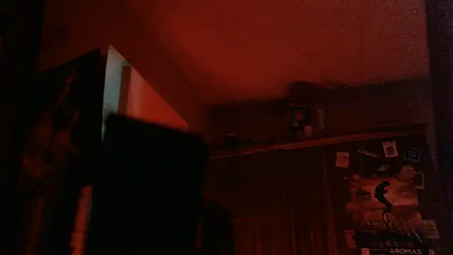 bravo23toro's Webcam Show