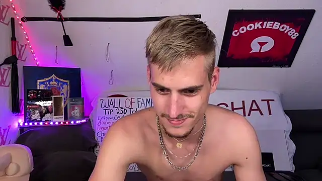 Chat XXX en directo de Cookieboy88