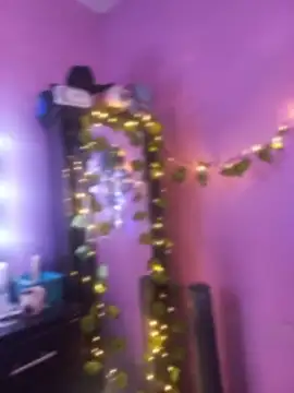 Inmirrey Webcam show
