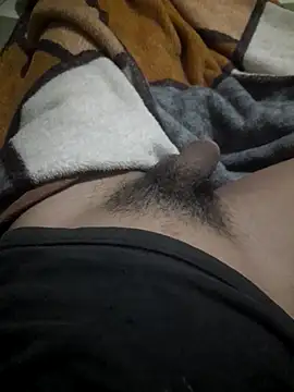 Dexsa_x 网络视讯表演