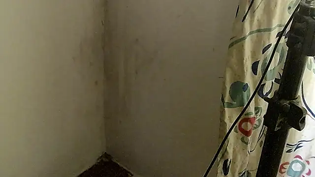 Raycatt1n Live XXX chat