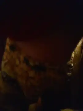 Delish_Lilithn Live XXX chat