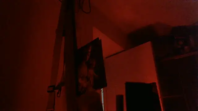 Show de bravo23toro na webcam