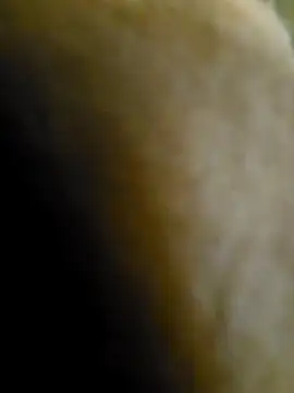 Bababuji2024 – Naživo XXX chat