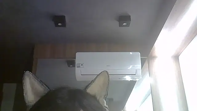 XXX chat uživo modela SkinnyKitten