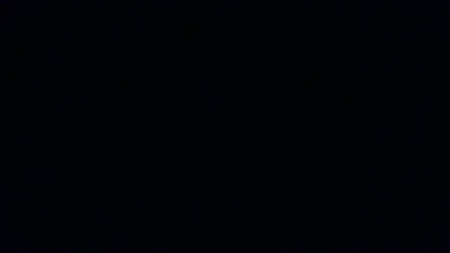 EvaShinee's Live XXX Chat