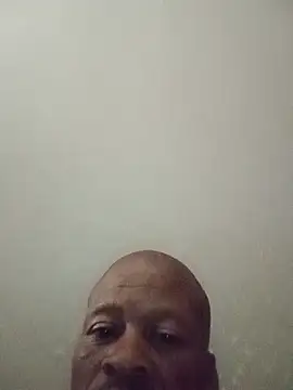 Tearain84n Webbikameraesitys
