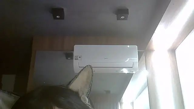 Chat XXX ao vivo de SkinnyKitten