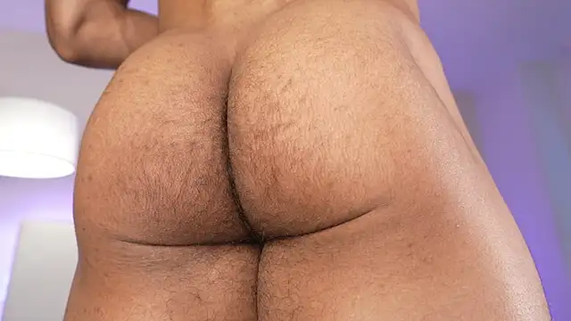Show de webcam de DanteeStone