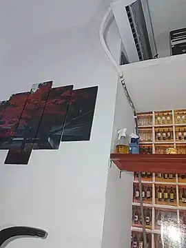 _Shirley_ élő XXX-chatje