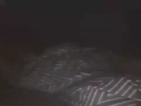 Webkamerová show SHARPSkinhead