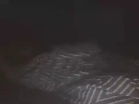 Živý XXX chat SHARPSkinhead