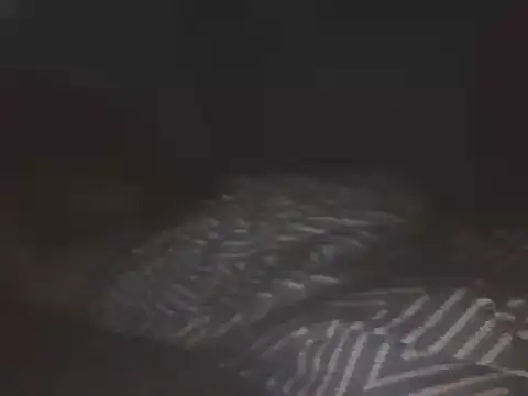 SHARPSkinheadn Webbikameraesitys