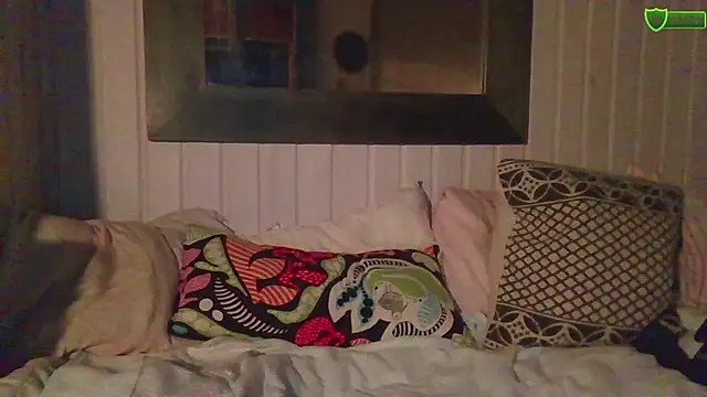 Stock-Holmes webcam show