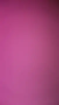 ZeldaSneakyLink Webcam show