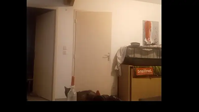 Mastersangesn Live XXX chat