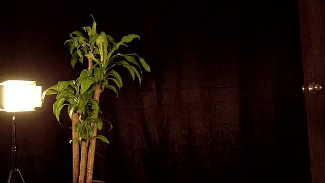 Bruno___69's Webcam Show