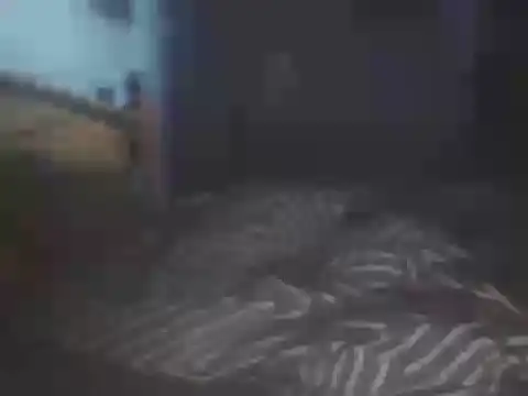 Živý XXX chat SHARPSkinhead
