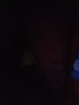 הופעת וובקאם של Sexxoophone