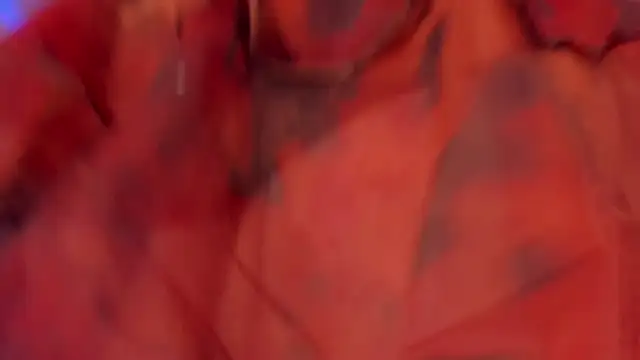 GiaFerrara Chat XXX live