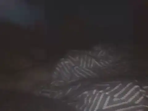 SHARPSkinhead – Naživo XXX chat