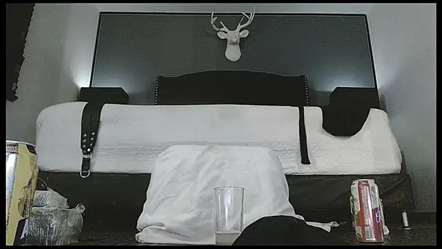 danilog515 Live XXX-chat