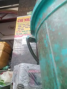 traiwe06 লাইভ XXX চ্যাট
