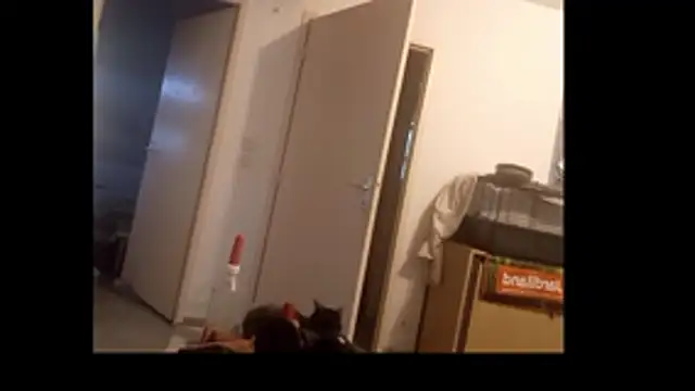 Webkamerová show Mastersanges