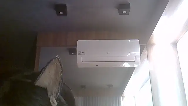 Show de webcam de SkinnyKitten