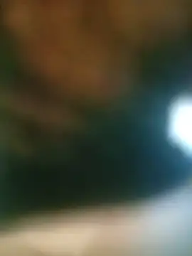 duarte780's Live XXX Chat