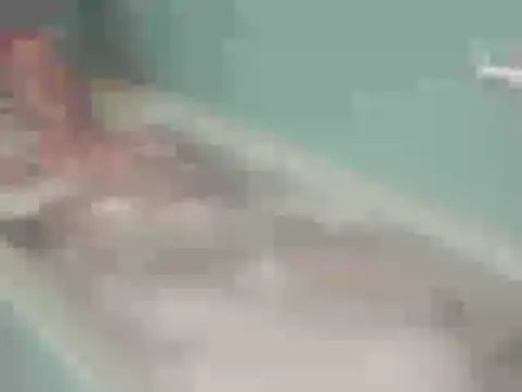 Онлайн чат XXX SHARPSkinhead