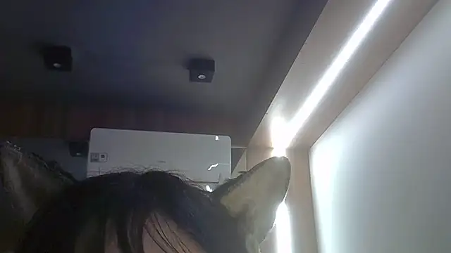 SkinnyKitten's Webcam Show