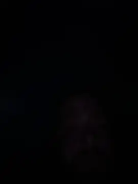 Bear2323 Webcam Show