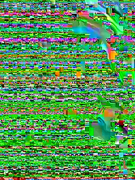 True_Love009's Live XXX Chat