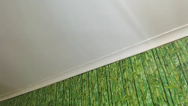 HairyQuinn's Live XXX Chat