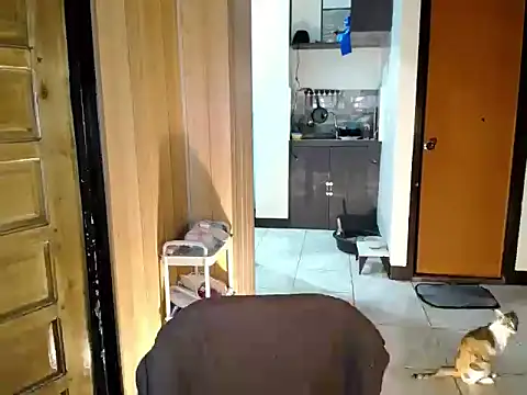 jakoloten's Live XXX Chat