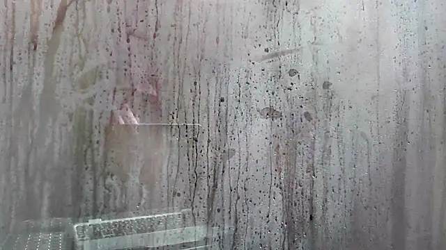 Show de webcam de LicitInvader