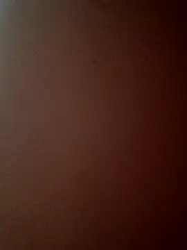 BustedCall Webcam show