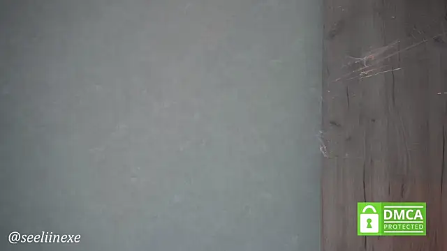 Chat +18 de seeliinexe ao vivo