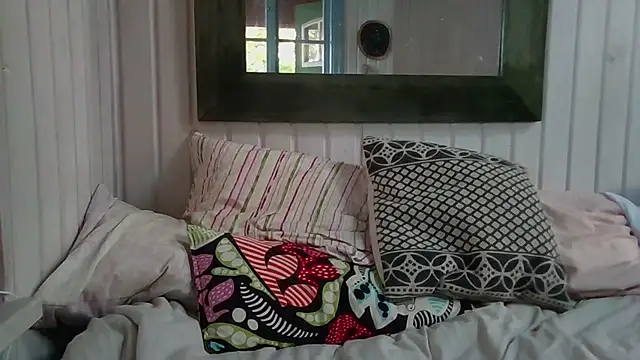 Stock-Holmes webcam show
