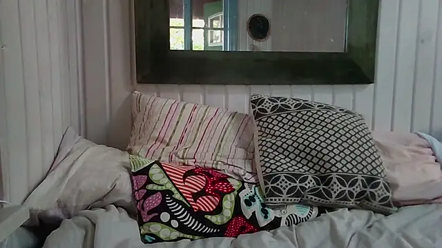 Stock-Holmesn Webbikameraesitys