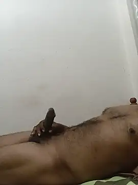 black77SL Show Webcam