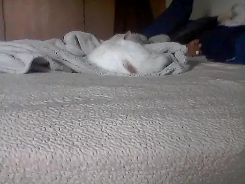 Silencio26's Webcam Show