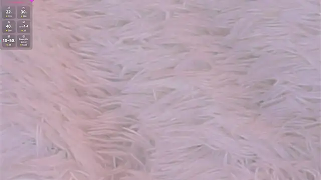 PearleneBolfa 라이브 XXX 채팅