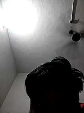 Show Webcam de honbok