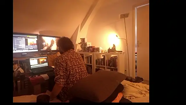 Mastersanges Webcam-Show