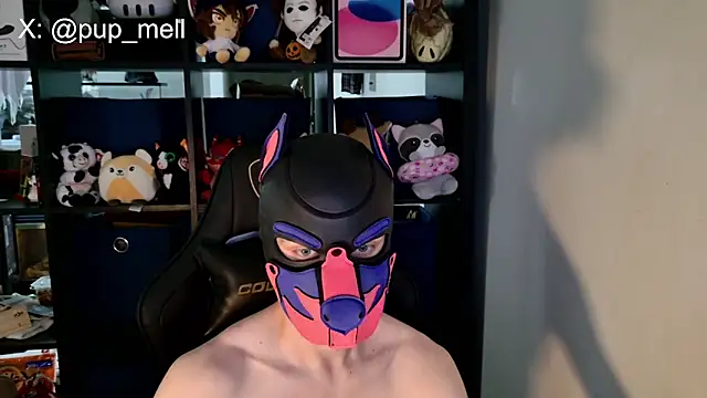 แชท XXX สดของ MellPUP