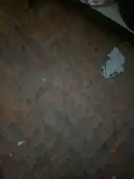 Timmy_Tn Webbikameraesitys