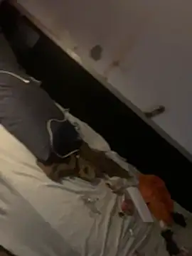 crisfootlicker Webcam show